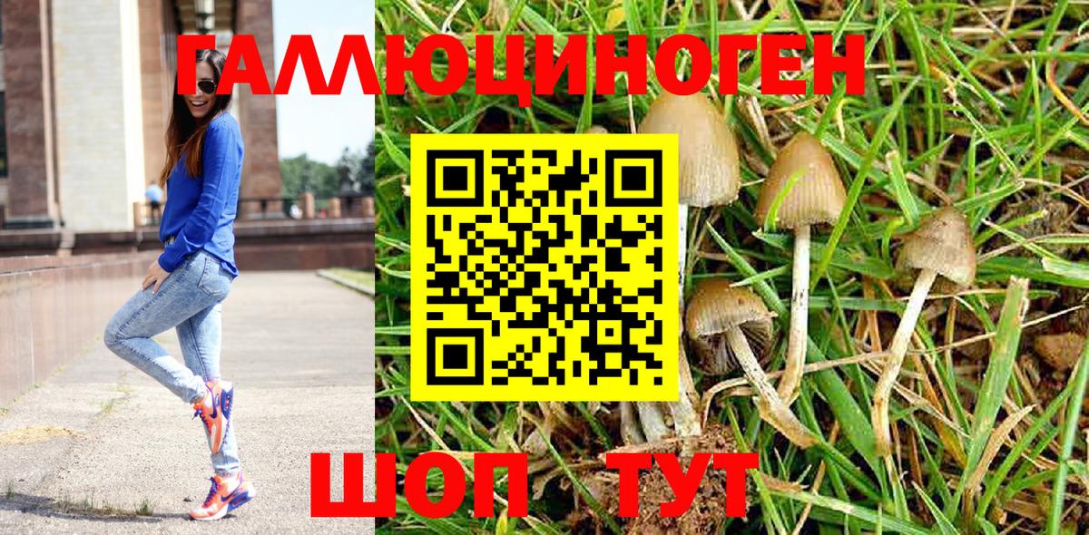 Псилоцибиновые грибы GOLDEN TEACHER  Вход с VPN  Белореченск  Галлюциногенные грибы GOLDEN TEACHER 