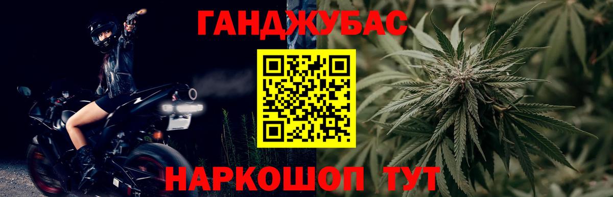 Канабис сатива Белореченск